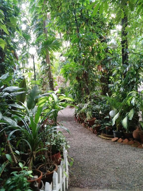 Kochi Green Woods Bethlehem מראה חיצוני תמונה