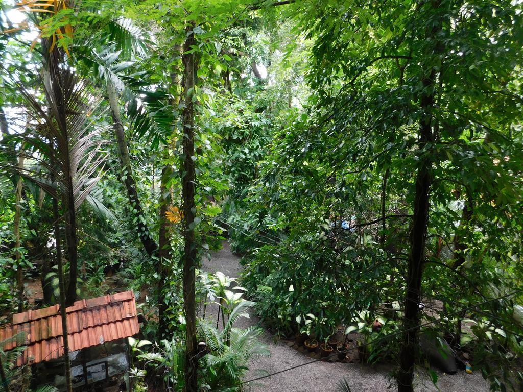 Kochi Green Woods Bethlehem מראה חיצוני תמונה